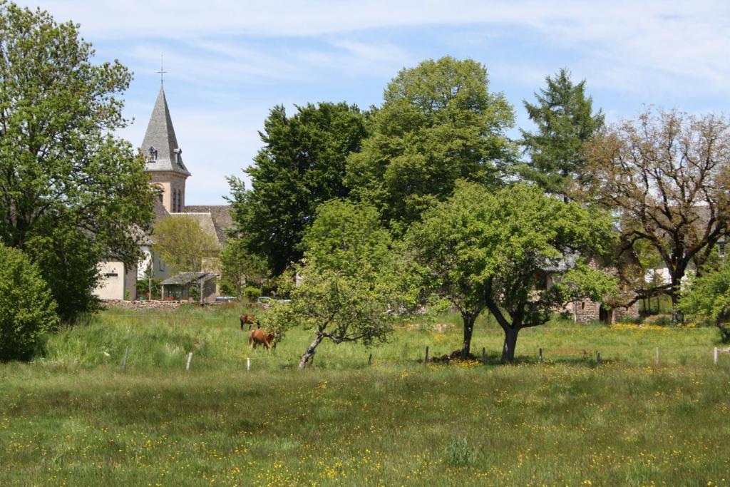 Auberge De Saint Julien Aux Bois Zewnętrze zdjęcie