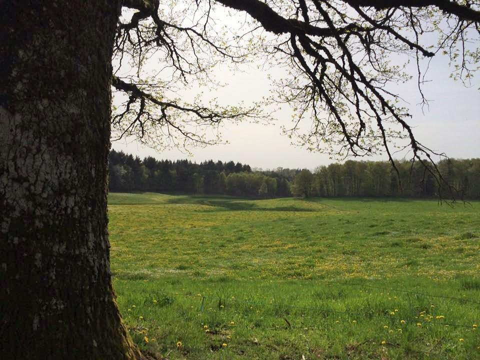 Auberge De Saint Julien Aux Bois Zewnętrze zdjęcie
