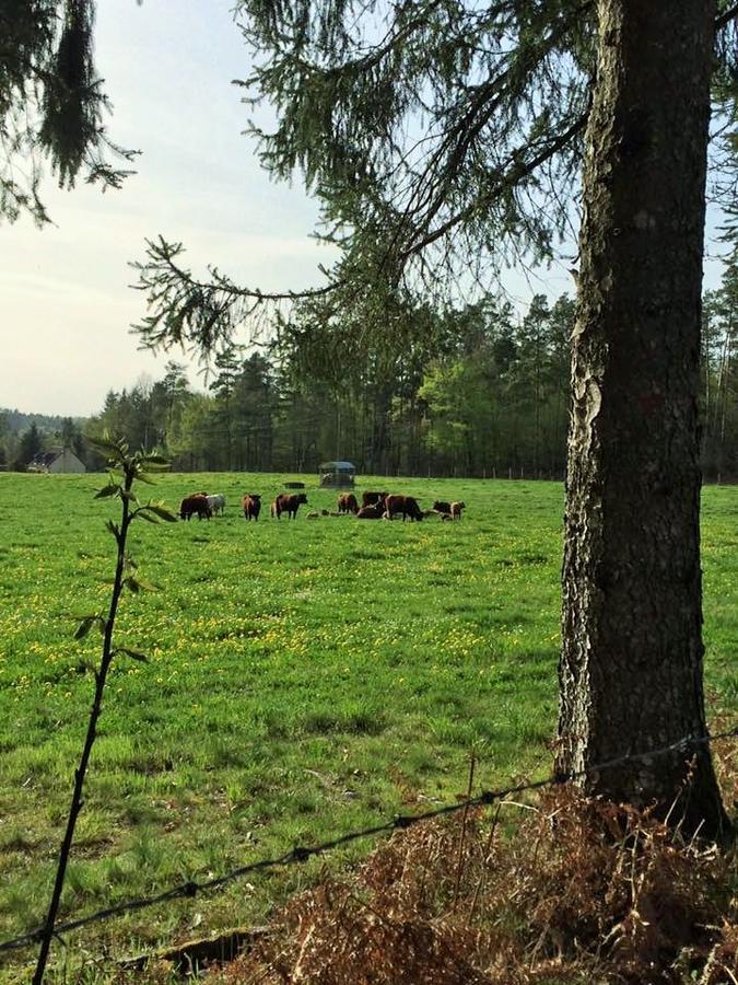 Auberge De Saint Julien Aux Bois Zewnętrze zdjęcie
